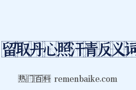 留取丹心照汗青反义词是什么意思的图片